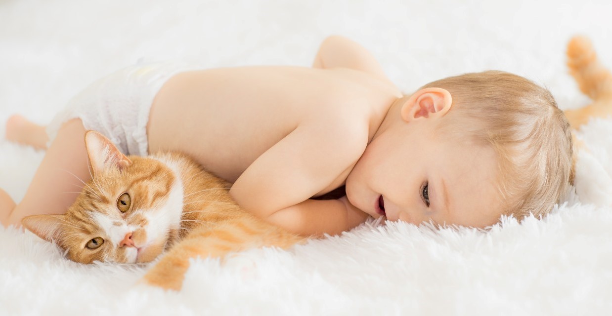 Keeping your Cat and Baby Safe in the Home