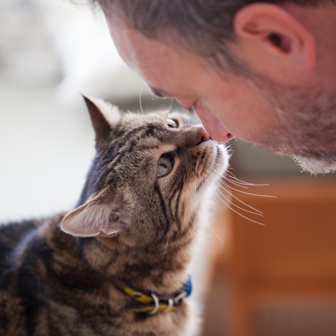 How Cats Benefit my Mental Health