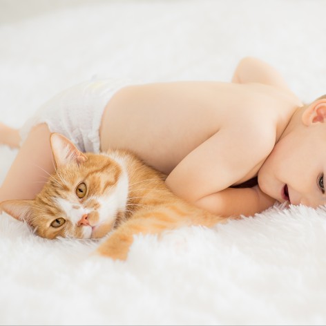 Keeping your Cat and Baby Safe in the Home