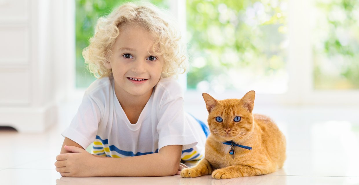 Good Cat Breeds for Kids