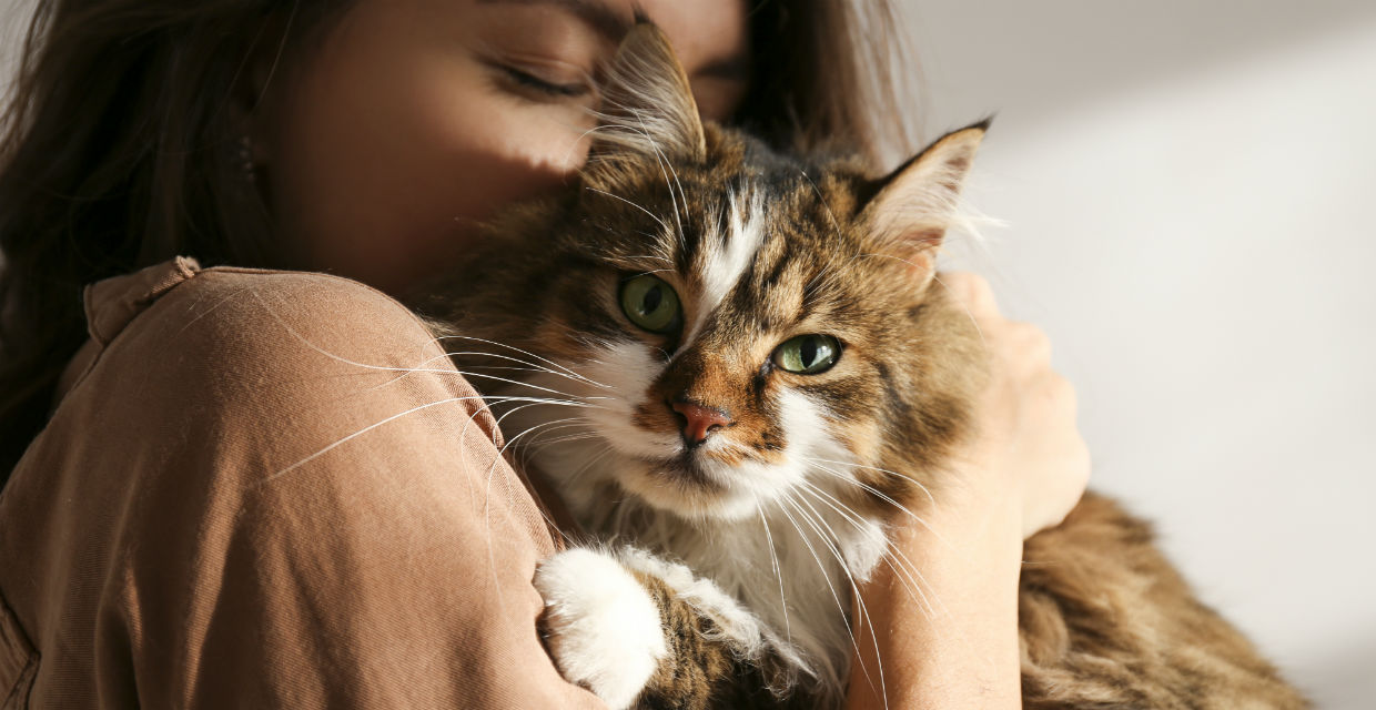 You Know You're a Cat Person When..