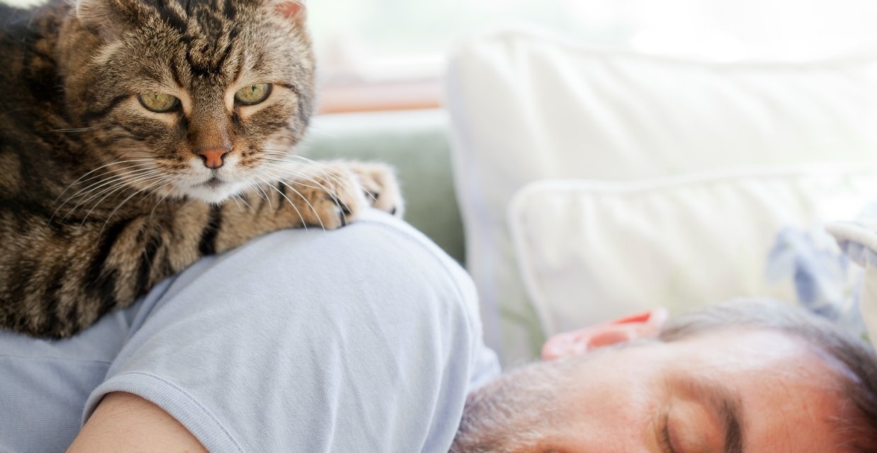 Building the Relationship with your Cat