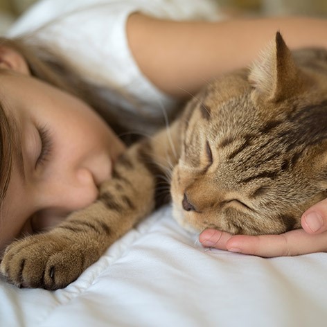 Cat and Kitten Sleeping Arrangements