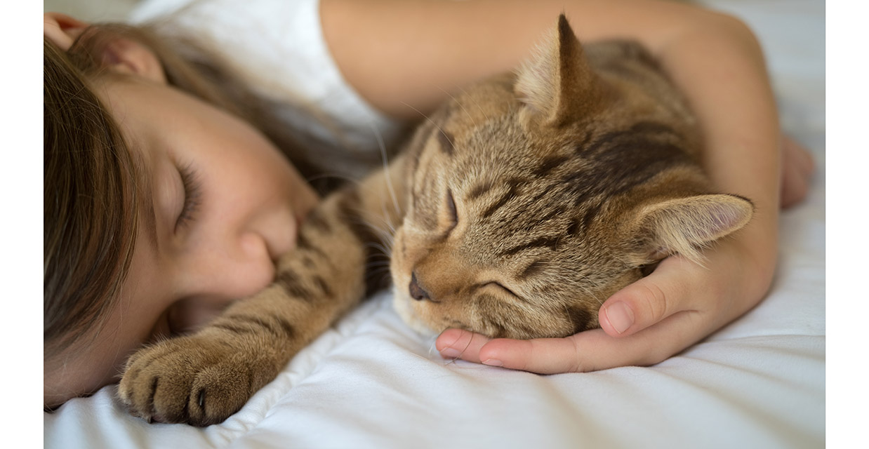 Keeping your Cats Happy at Home
