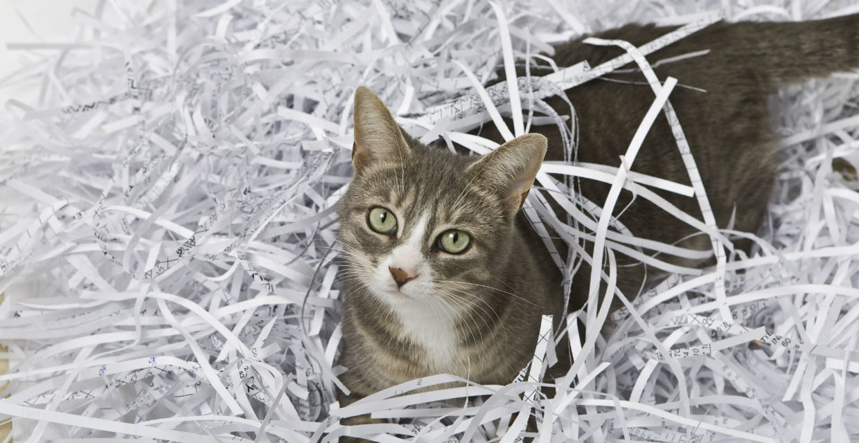 Shredded paper sale litter