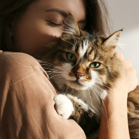 Six Fun Facts about Cats & Kittens